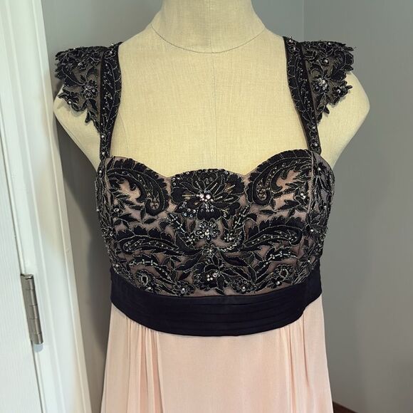 Sue Wong Walt Disney “Alice in Wonderland” 
Black & Rose Lace Trim Dress Size 6 - Picture 3 of 16